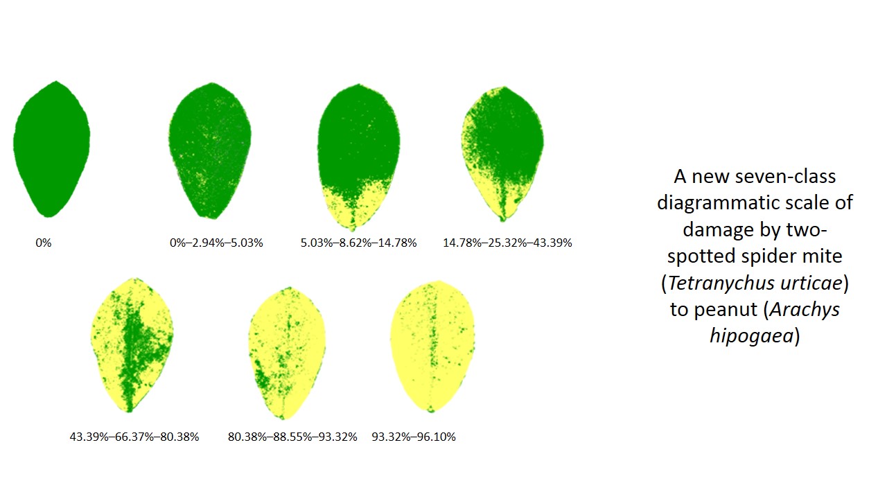 Graphical_abstract4.jpg