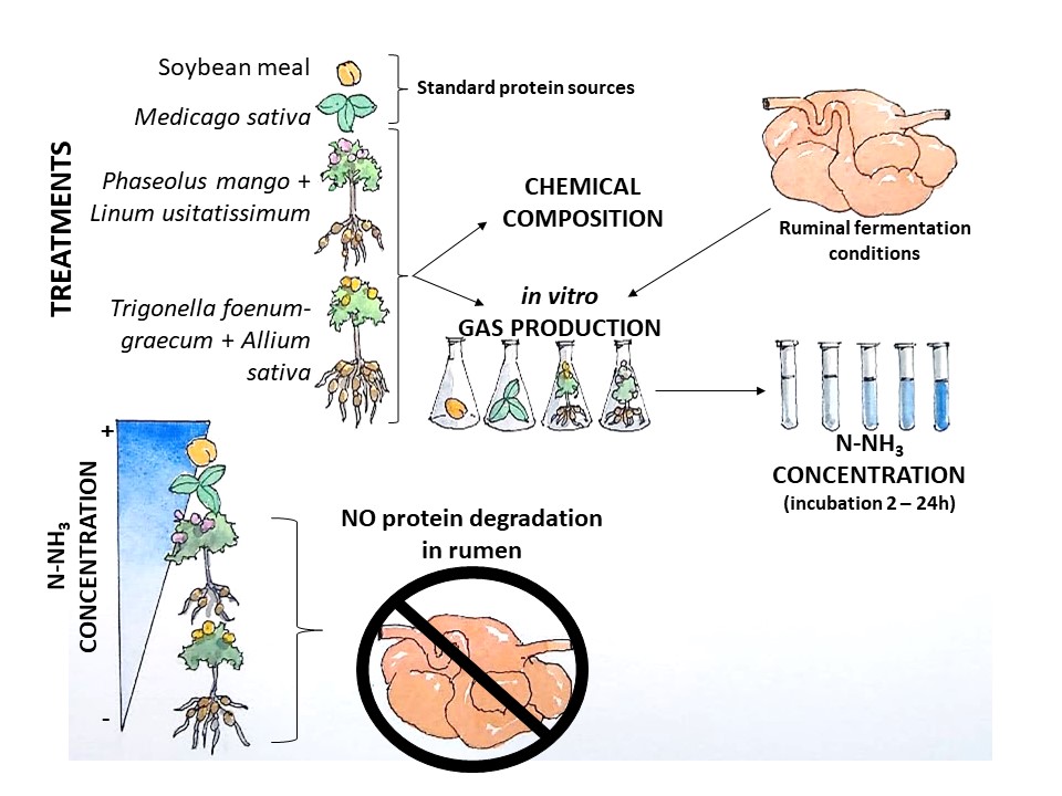 Graphical_abstract6.jpg