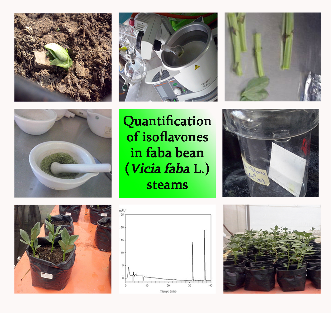 Quantification-Foto_Visor.jpg