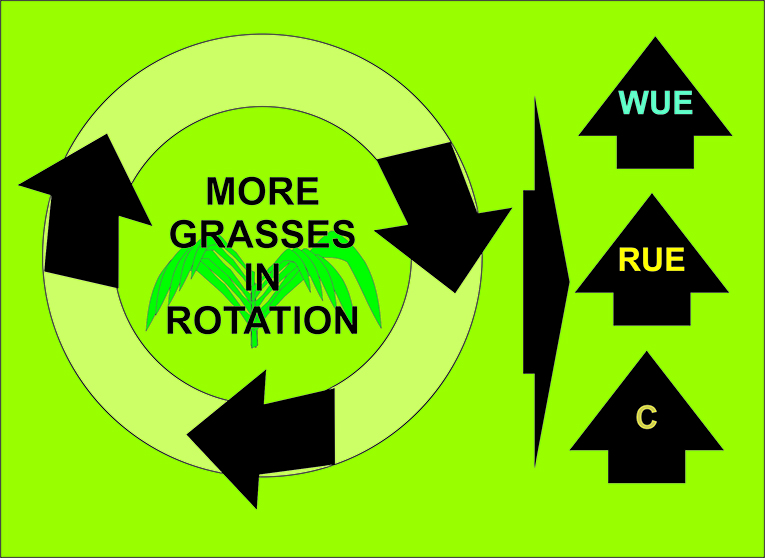 graphical22.jpg