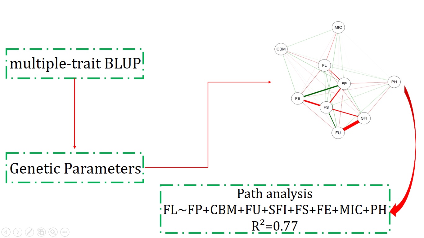 graphical35.jpg