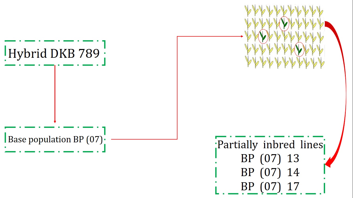 Graphical_Abstract.jpg