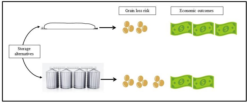 graph_abstract_v2.jpg